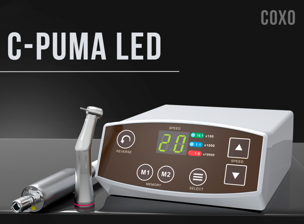 Функционал эндомотора COXO C-Puma LED