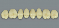 MFT (VITA) Гарнітур зубів, верхні бокові, колір 0M3