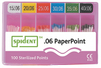 Бумажные штифты Spident Paperpoints (конус 06, 100 шт)