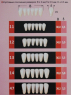 Гарнітур зубів на планках Стома ЕСТЕДЕНТ - 02 (4 гарнітури)