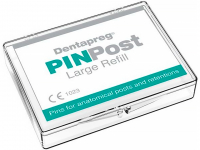 Парапульпарные штифты DENTAPREG PINPost Large (20*0.45*, 12 шт)
