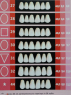 Гарнітур зубів на планках Стома ЕСТЕДЕНТ - 02 (4 гарнітури)