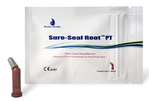 Біокерамічна паста Vannini Dental Sure-Seal Root (putty)