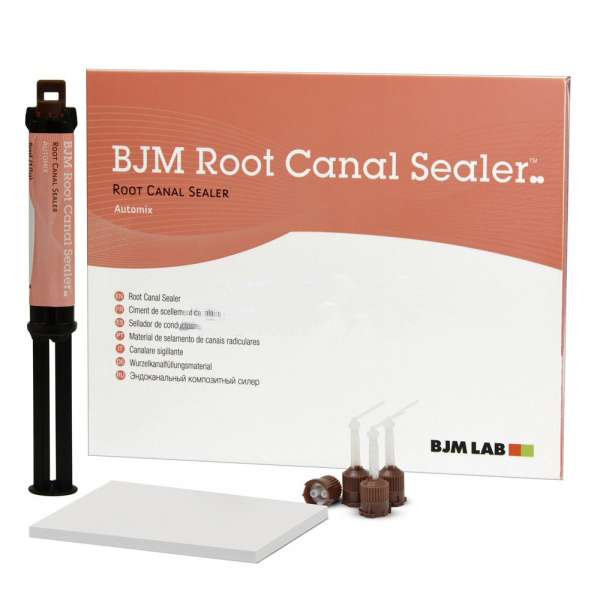 Антибактеріальний силер BJM ROOT CANAL SEALER (10 г, насадки)