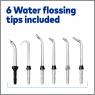 Ирригатор Waterpik WF-11 ION