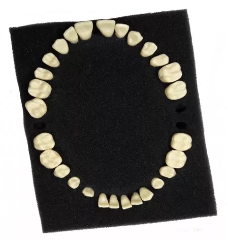 Зуби змінні комплект HST-D6 для HST-A5-01 (32 шт)