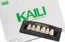 Планка передніх верхніх зубів HUGE Kaili S2 (6 шт)