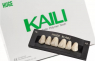 Планка передніх верхніх зубів HUGE Kaili S4 (6 шт)
