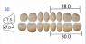 Планка жевательных верхних зубов HUGE Kaili 30MU (8 шт)