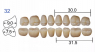 Планка жевательных верхних зубов HUGE Kaili 32MU (8 шт)