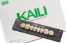 Планка жевательных верхних зубов HUGE Kaili 34MU (8 шт)