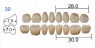 Планка жувальних нижніх зубів Huge Kaili 30ML (8 шт)