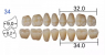 Планка жевательных нижних зубов HUGE Kaili 34ML (8 шт)