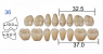Планка жувальних нижніх зубів Huge Kaili 36ML (8 шт)