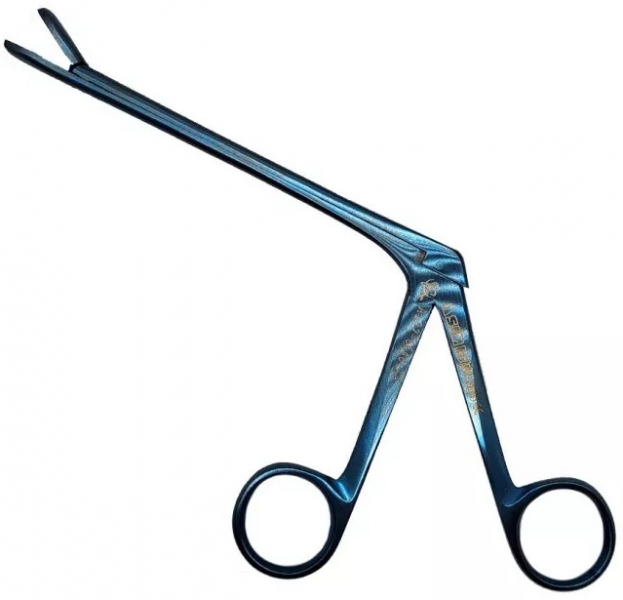 Конхотом ASIM Ai 22-6648-19, WILDE, 19 см