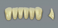 MFT (VITA) Гарнитур зубов, нижние фронтальные, цвет 1M1