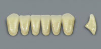 MFT (VITA) Гарнитур зубов, нижние фронтальные, цвет 0M1