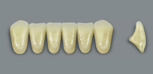 MFT (VITA) Гарнитур зубов, нижние фронтальные, цвет 2L1.5