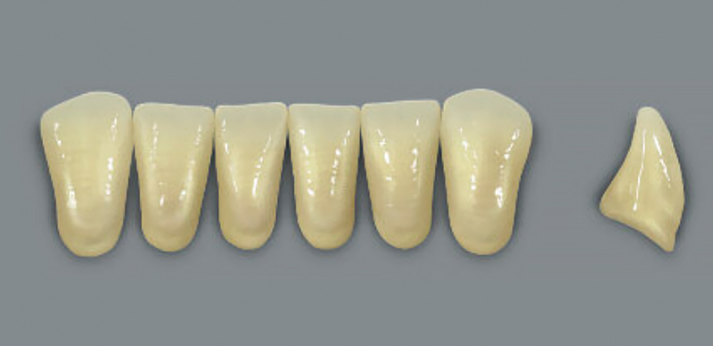 MFT (VITA) Гарнитур зубов, нижние фронтальные, цвет 3L1.5