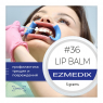 Lip Balm №36 (Ezmedix) Бальзам для зволоження губ