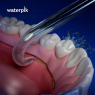 Насадка для имплантного протеза Waterpik DT-100E