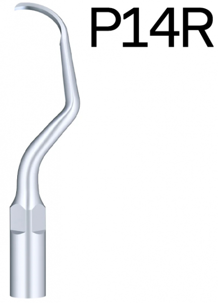 Насадка п'єзоскалера DTE P14R (EMS)
