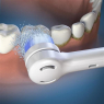 Сменные насадки для щетки Waterpik Triple Clean