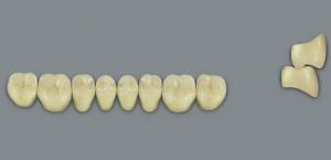 MFT (VITA) Гарнітур зубів, нижні бічні, колір 2L1.5