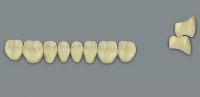 MFT (VITA) Гарнитур зубов, нижние боковые, цвет 2M2