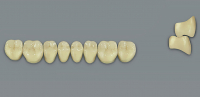 MFT (VITA) Гарнитур зубов, нижние боковые, цвет 3M2