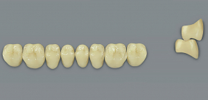 MFT (VITA) Гарнітур зубів, нижні бічні, колір 5M1