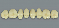 MFT (VITA) Гарнітур зубів, верхні бокові, колір 2L1.5