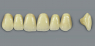 MFT (VITA) Гарнітур зубів, верхні фронтальні, колір 0M3