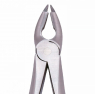 Easy Forceps 3252 (Dental Studio) Легкие щипцы