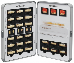 Таблица слепков зубов Living tooth mould chart SR Phonares II