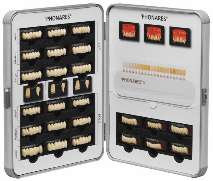 Таблица слепков зубов Living tooth mould chart SR Phonares II