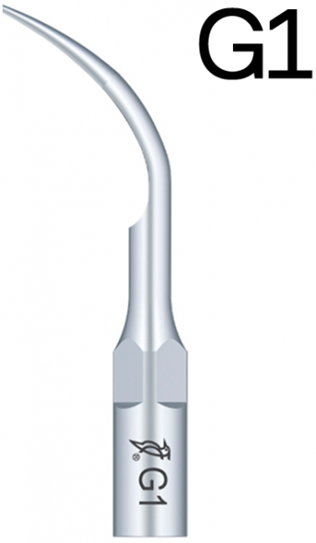 Насадка для скалера Woodpecker G1 (EMS)