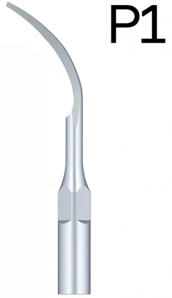 Насадка Woodpecker P1 (для скалера EMS)