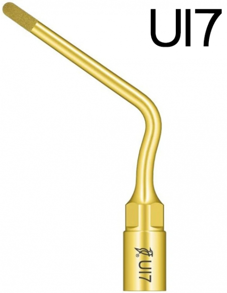 Насадка Woodpecker UI7 (для скалера Mectron)