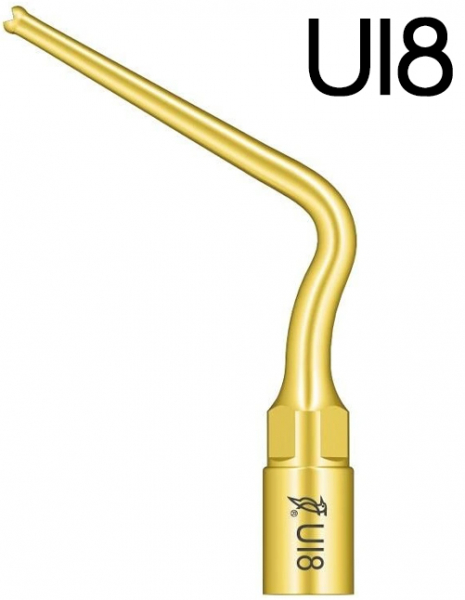 Насадка Woodpecker UI8 (для скалера Mectron)