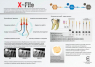 X+ file, X1-X3, ассорти, 25 мм (NIC) Машинные файлы, 3 шт