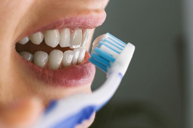 Результат пошуку зображень за запитом "brush teeth"